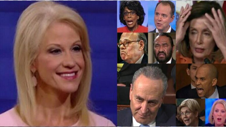 Kellyanne Conway discusses the first 500 days of the Trump Presidency. Image credit US4Trump screen grab compilation.