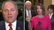 Steve Scalise weighs in on Democrat obstruction of the Wall. Photo credit to Swamp Drain compilation with screen shots.